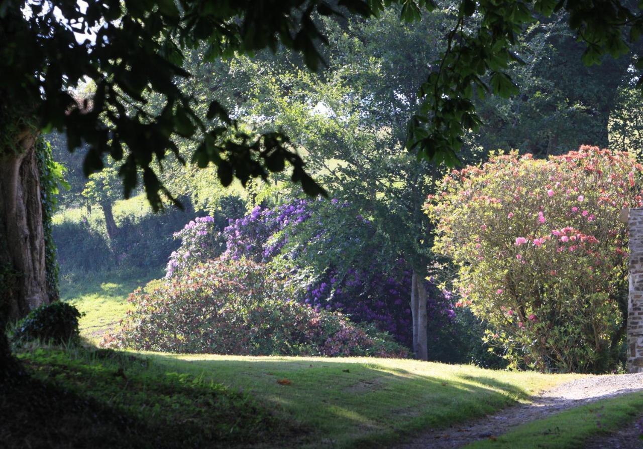Devon Country Paradise 塔维斯托克 外观 照片