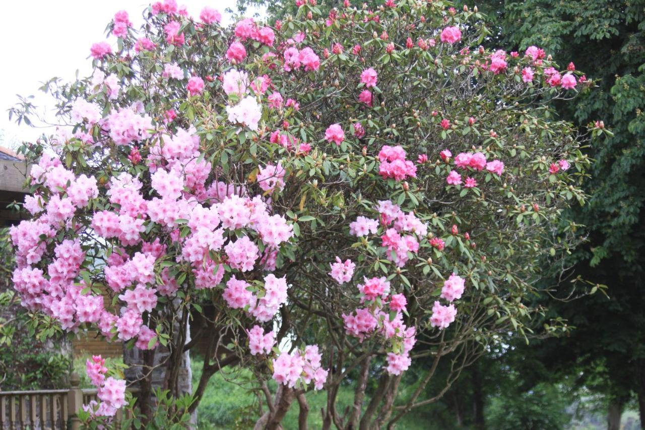 Devon Country Paradise 塔维斯托克 外观 照片