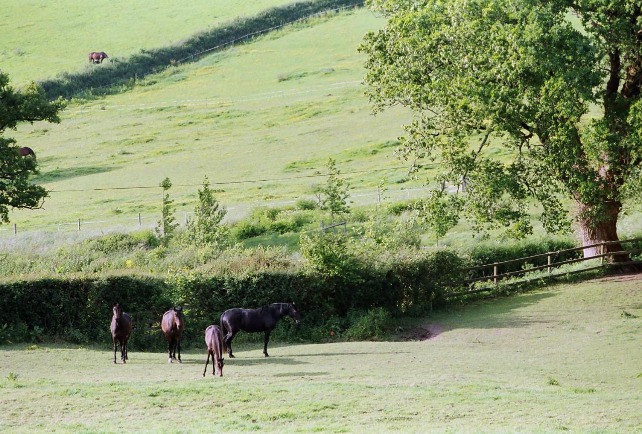 Devon Country Paradise 塔维斯托克 外观 照片