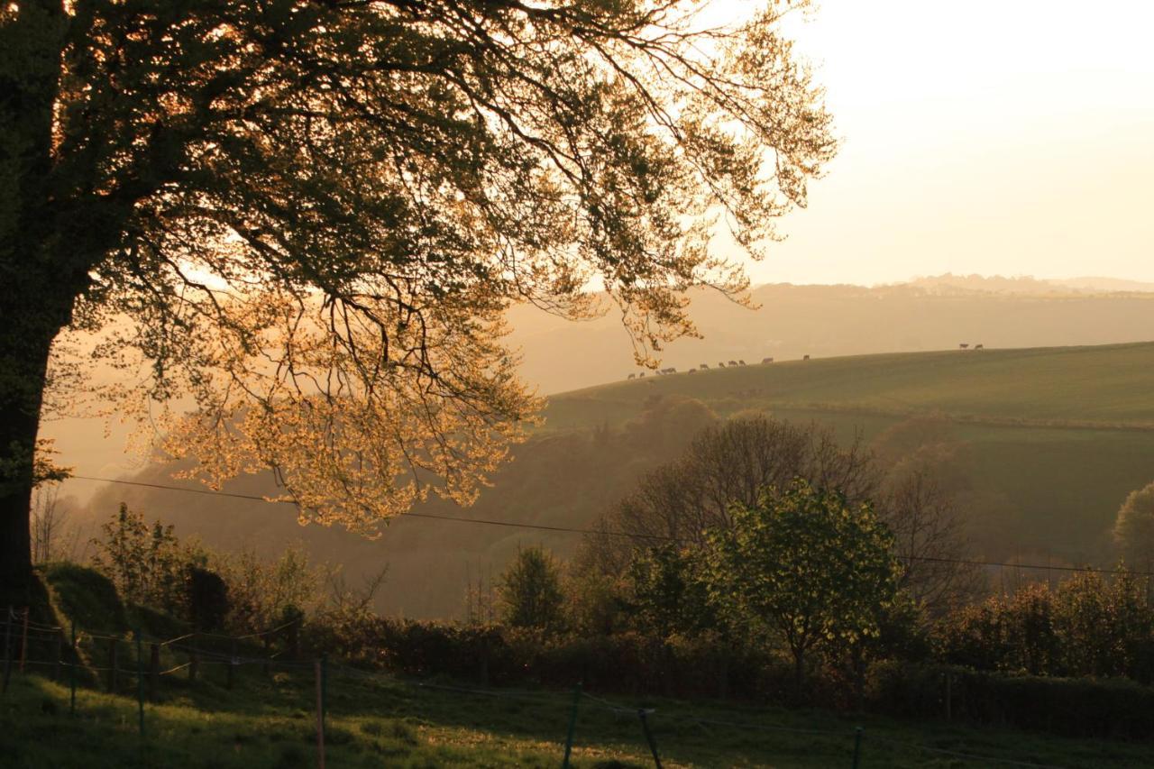 Devon Country Paradise 塔维斯托克 外观 照片