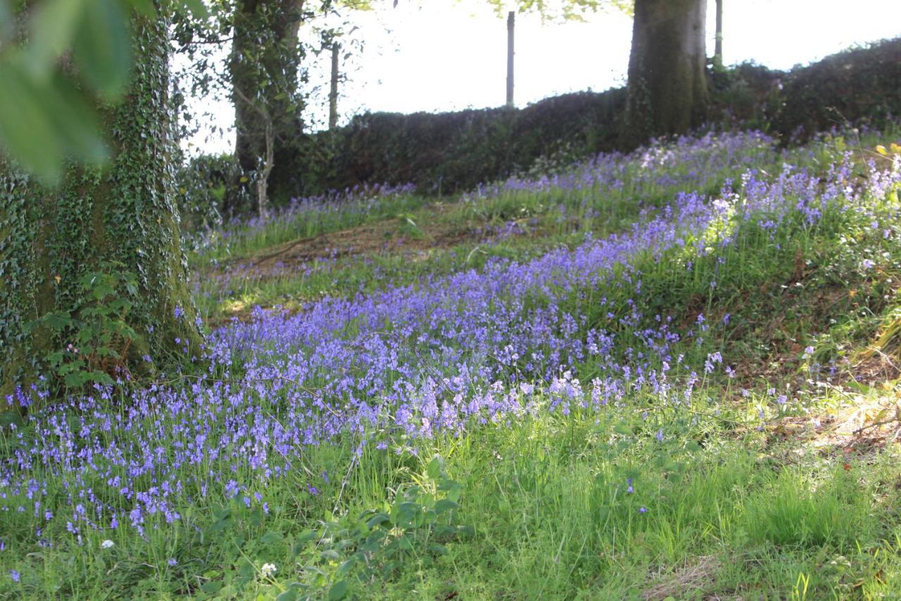 Devon Country Paradise 塔维斯托克 外观 照片