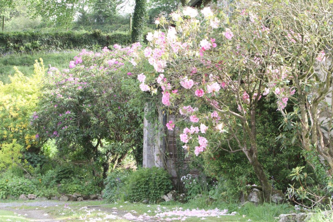 Devon Country Paradise 塔维斯托克 外观 照片
